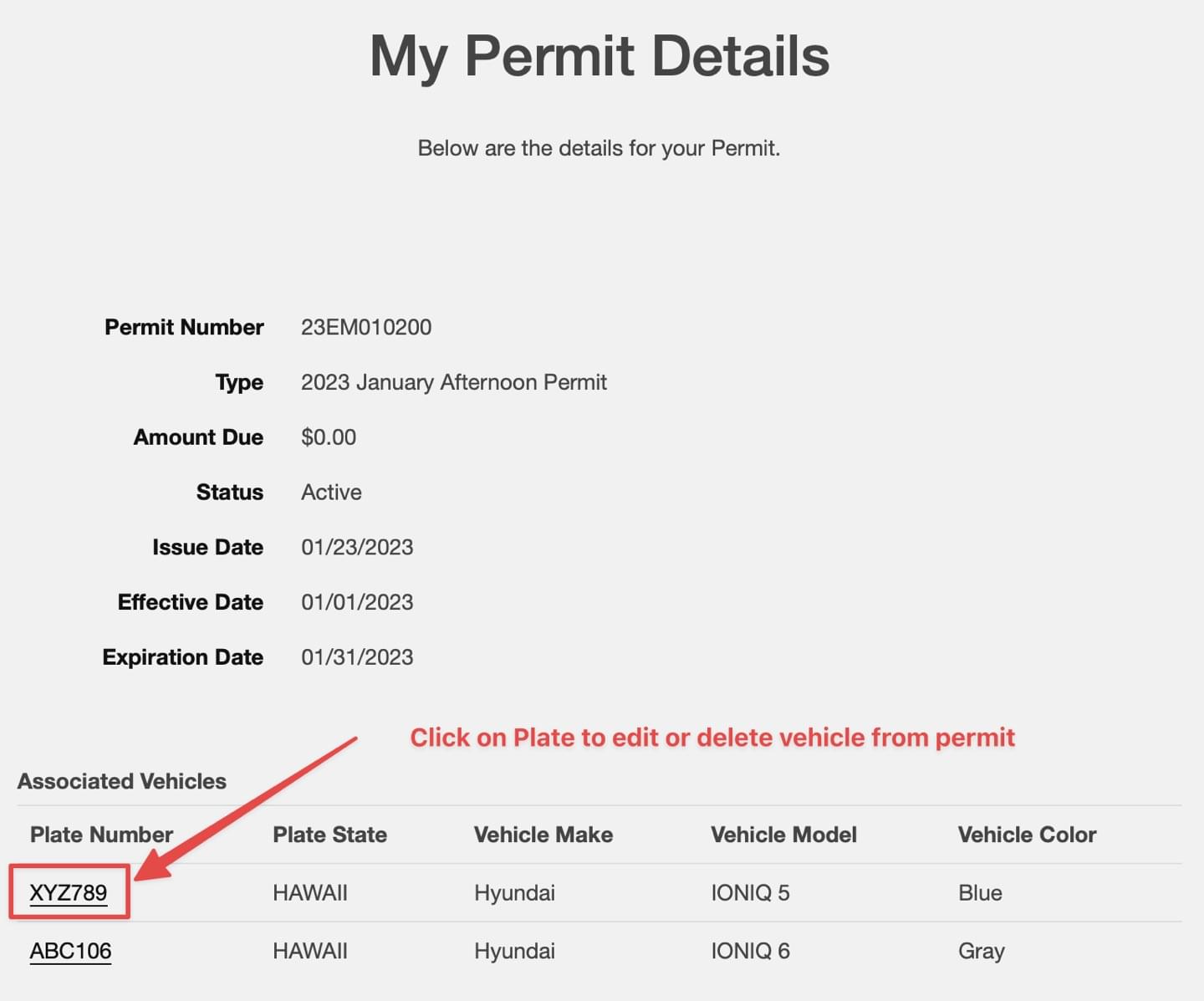 Edit Vehicle Permit